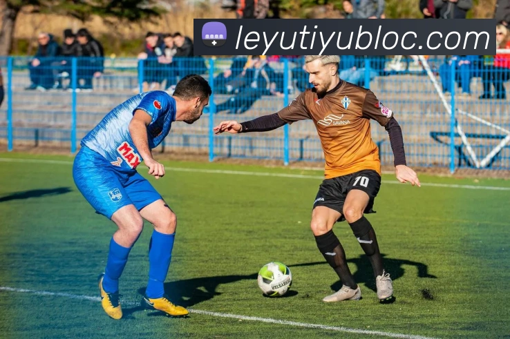 乐鱼体育APP 封面图